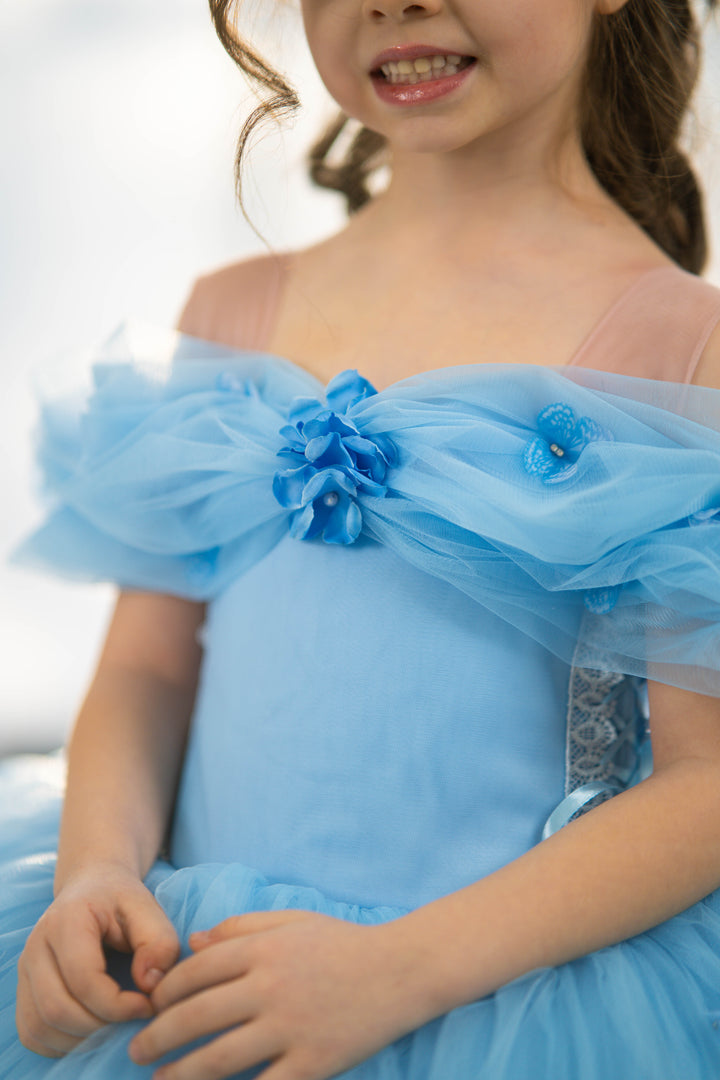 Cindirella Inspired Children Dress, Size 4-5