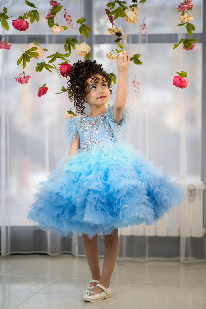 Blush pink birthday baby girl gown, first year birthday party dress, gown with train for baby, gorgeous fluffy dress for kids, tulle dress, Girls formal dress long, Ball dress for girls, Luxury dress for kids, Prom dress for kids, Blush dress, Toddler wedding dress, Tulle gown girls, Blush Flower Girl Dress, Lace flower girl dress, Girls ball gown, adorable girls&