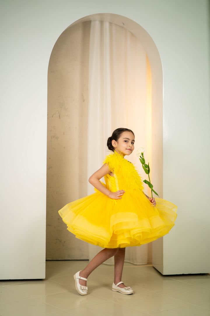 Dolly Dress