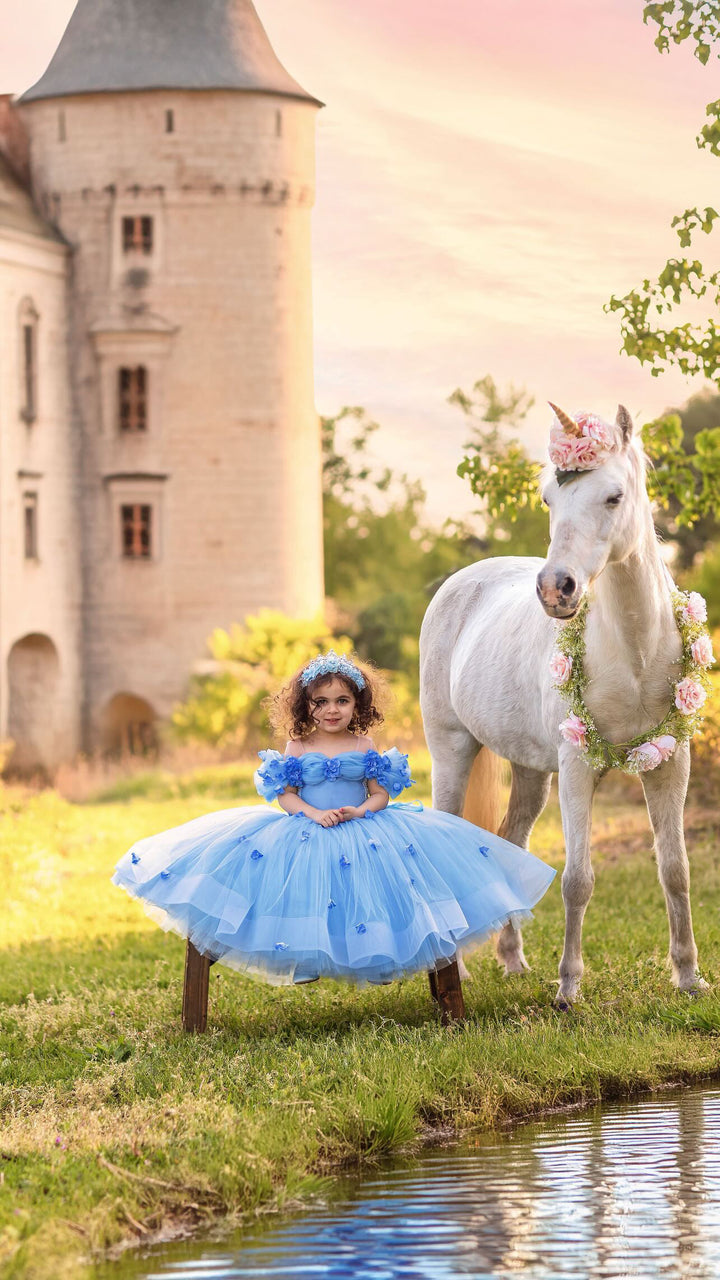 Cindirella Inspired Children Dress, Size 4-5
