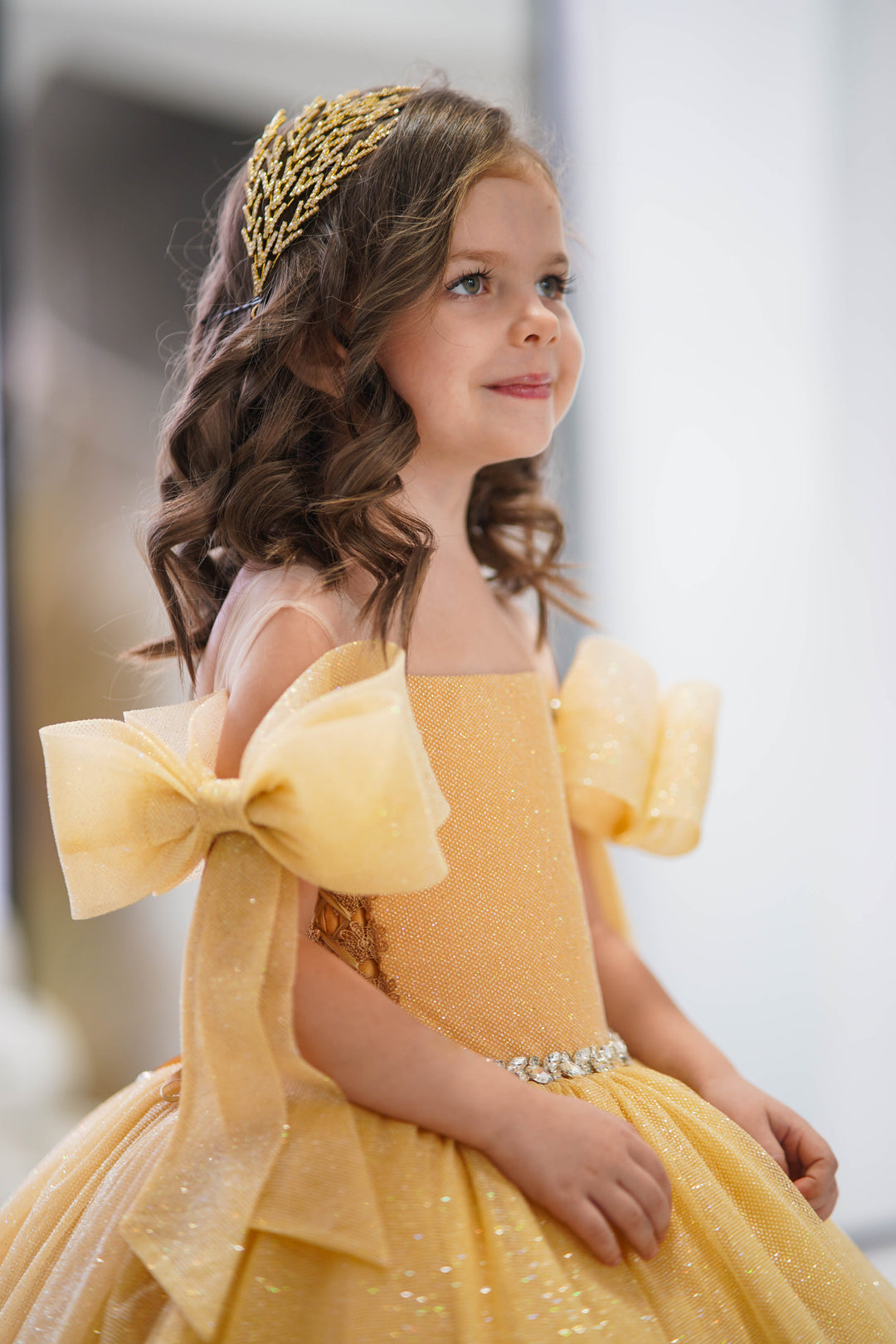 Princess Dresses / Pageant Dress For Girls /Birthday Dresses For Girls