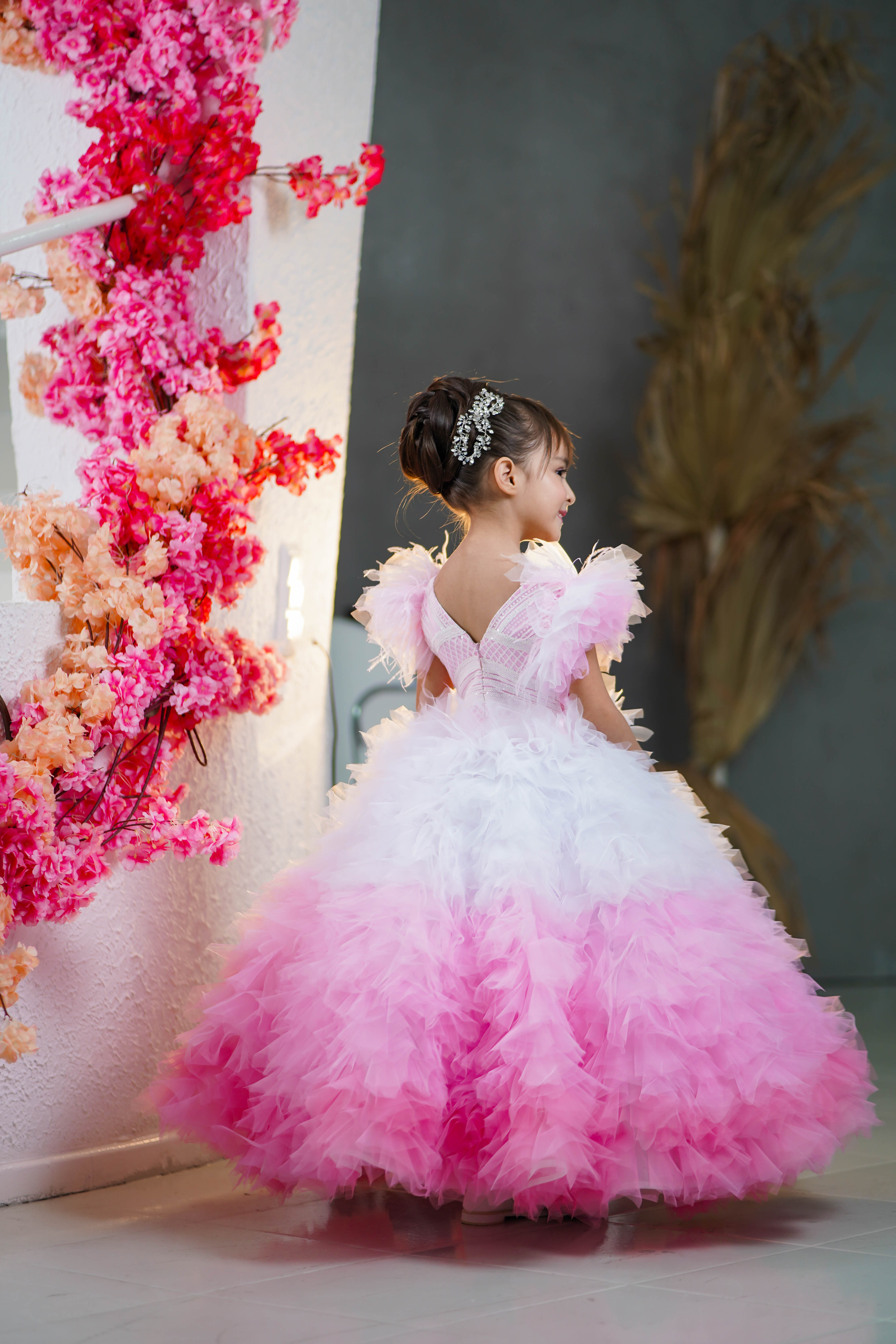 Ombré Limited Edition Princess Dress