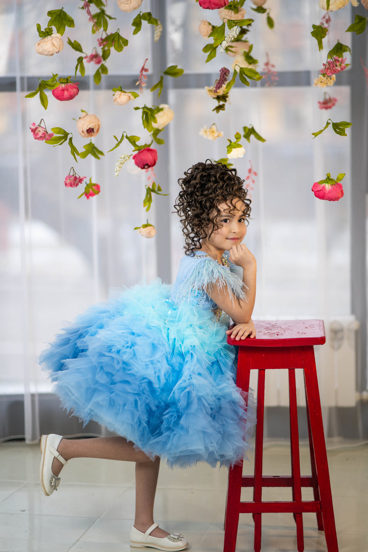 Toddler Tulle Puffy Pageant Dress, Special Occasion Girl Dress, Ivory flower girl dress, White flower girl dress toddler, Tutu dress, Princess dress, Tulle flower girl dress, Pageant dress for photoshoot, Toddler Tulle Puffy Pageant Dress, Special Occasion Girl Dress, Ivory flower girl dress, White flower girl dress toddler, Tutu dress, Princess dress, Tulle flower girl dress, Pageant dress for photoshoot