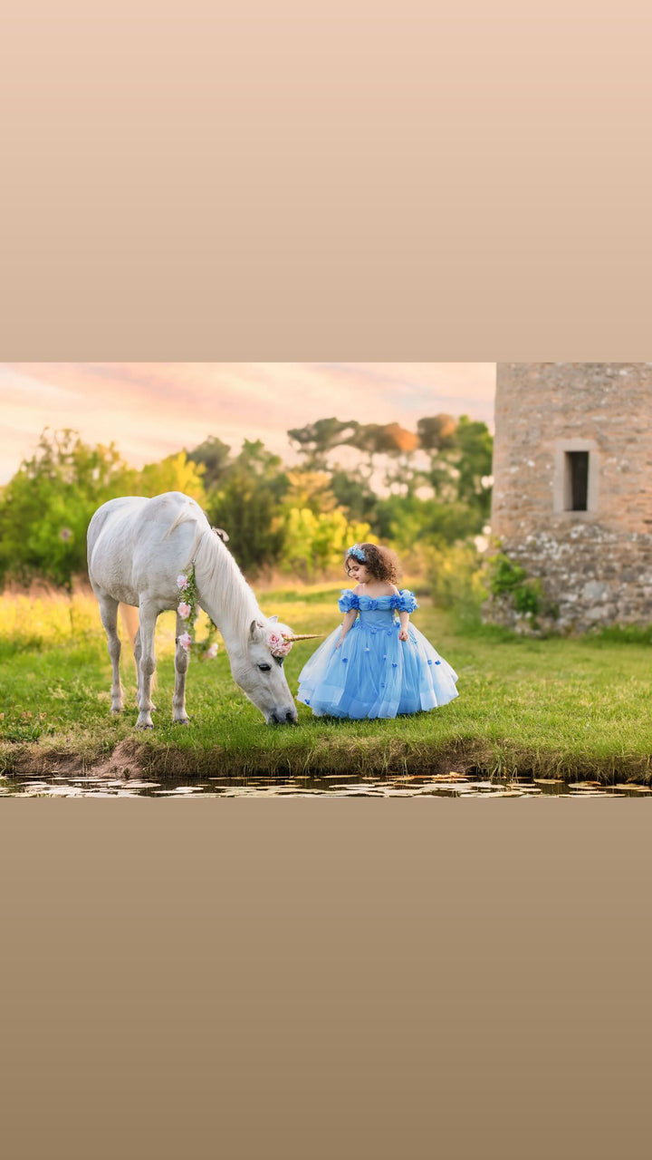 Cindirella Inspired Children Dress, Size 4-5